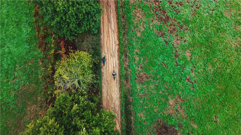 Quatre visages : entreprendre en Livradois-Forez